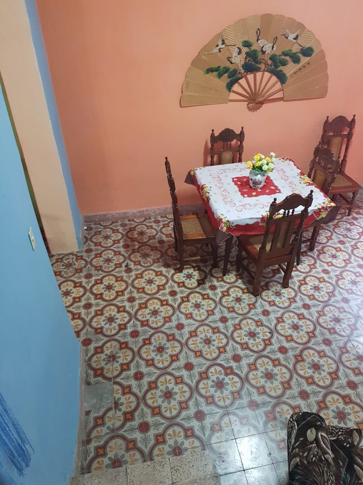 Casa de 4 habitaciones en Palatino, Cerro — foto 3 de 6
