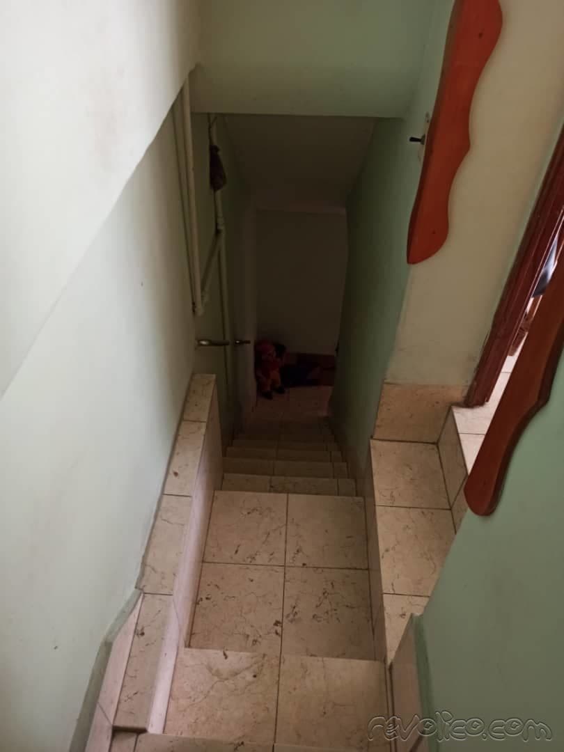Casa de 4 habitaciones en Cerro, Cerro — foto 3 de 11