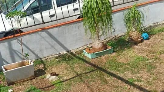 Vivienda de 3 habitaciones en Nuevo Vedado, Plaza de la Revolución