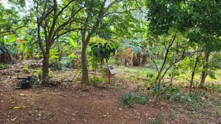 Vivienda de 5 habitaciones en Siboney, Playa