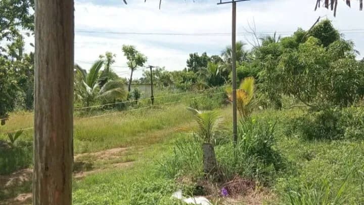 Vivienda de 5 habitaciones en El Cacahual, Boyeros — foto 3 de 3