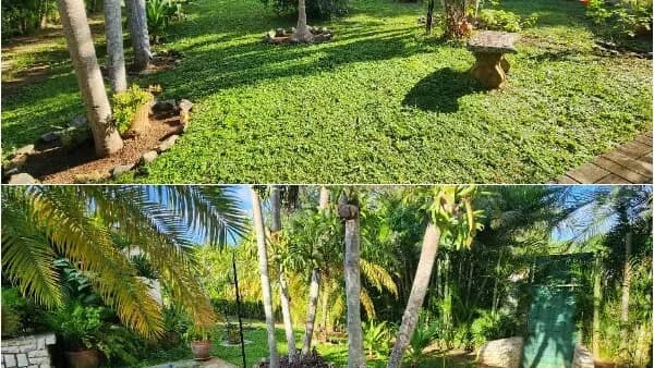 Vivienda de 3 habitaciones en Fontanar, Boyeros — foto 6 de 6