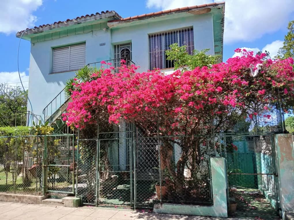 Vivienda de 3 habitaciones en La Ceiba, Playa — foto 2 de 12