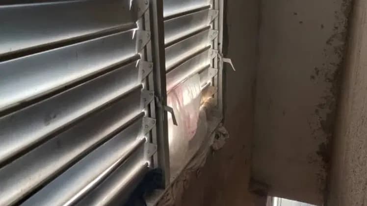 Vivienda de 2 habitaciones en Barrio Obrero, San Miguel del Padrón — foto 5 de 9