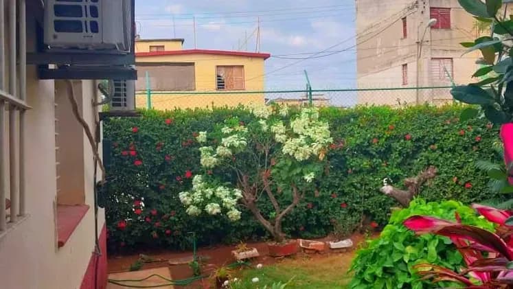 Vivienda de 4 habitaciones en Versalles, La Lisa — foto 4 de 7