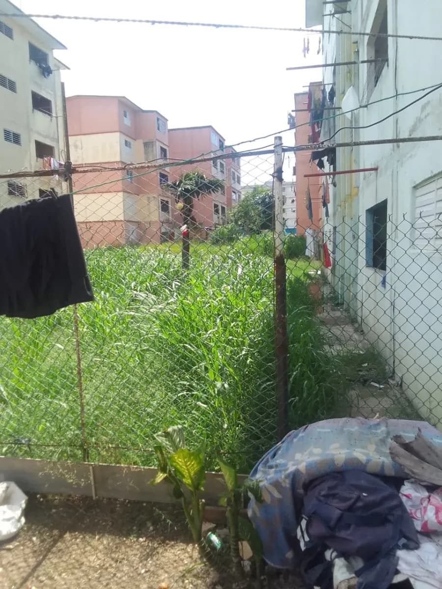 Vivienda de 2 habitaciones en Ciudamar, San Miguel del Padrón — foto 12 de 12