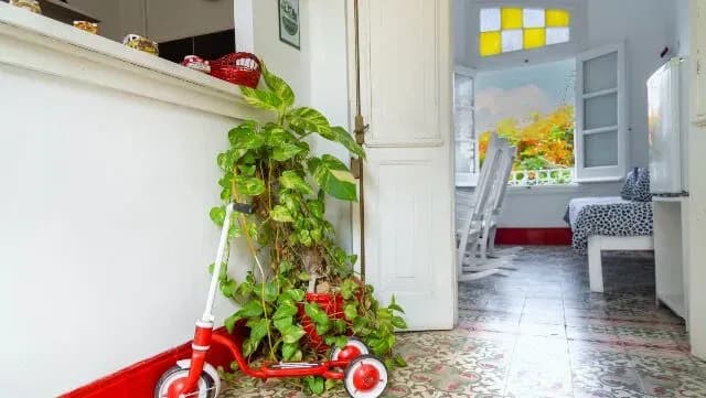 Vivienda de 4 habitaciones en Vedado, Plaza de la Revolución — foto 4 de 10