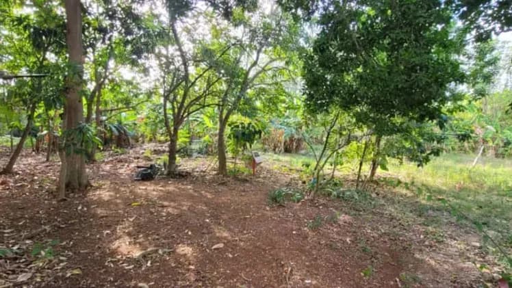 Vivienda de 5 habitaciones en Siboney, Playa — foto 5 de 9