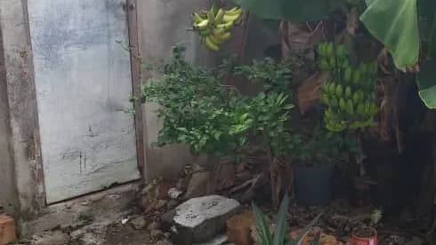 Vivienda de 4 habitaciones en Cojímar, La Habana del Este — foto 8 de 10