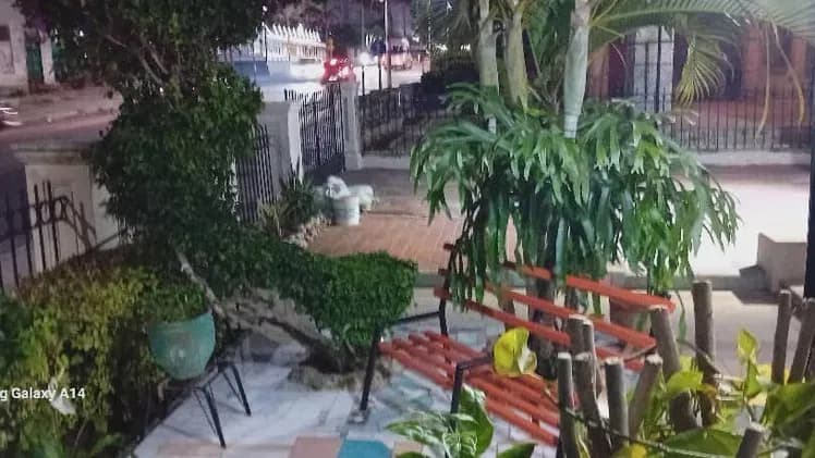 Vivienda de 5 habitaciones en Vedado, Plaza de la Revolución — foto 6 de 10