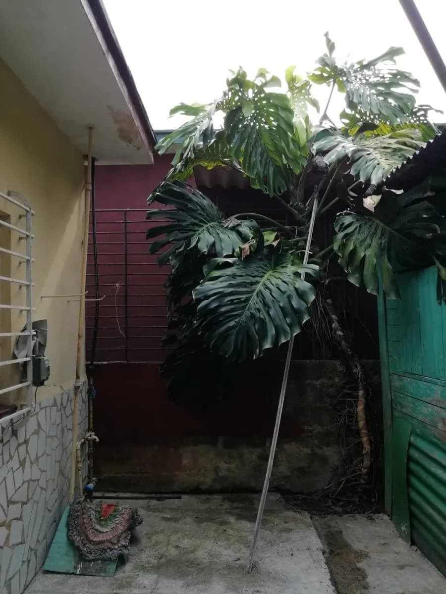 Vivienda de 2 habitaciones en Párraga, Arroyo Naranjo — foto 8 de 8