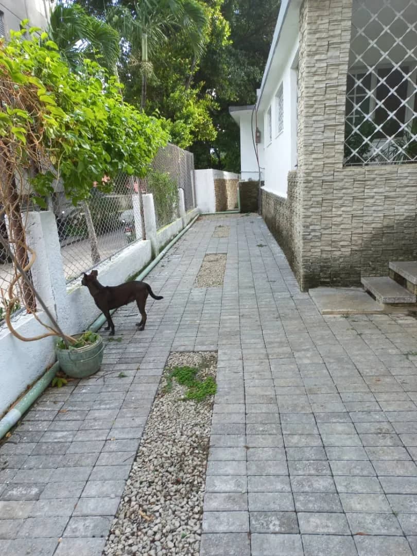 Vivienda de 3 habitaciones en Nuevo Vedado, Plaza de la Revolución — foto 8 de 11