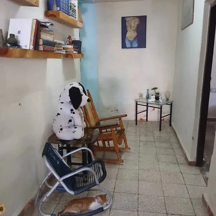 Vivienda de 5 habitaciones en Los Pocitos, Marianao — foto 10 de 10