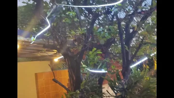 Vivienda de 5 habitaciones en Nuevo Vedado, Plaza de la Revolución — foto 2 de 10
