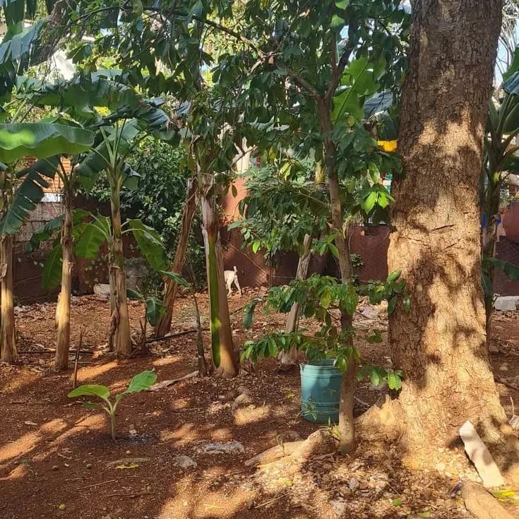 Vivienda de 5 habitaciones en Cojímar, La Habana del Este