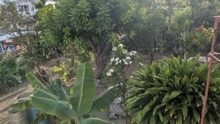 Vivienda de 7 habitaciones en Guanabo, La Habana del Este — foto 9 de 10