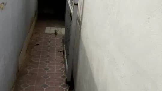 Vivienda de 2 habitaciones en Santos Suárez, Diez de Octubre — foto 5 de 9