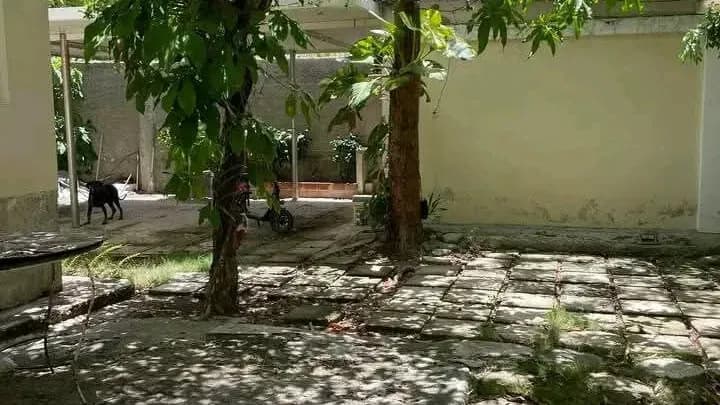Vivienda de 3 habitaciones en Cojímar, La Habana del Este — foto 10 de 10