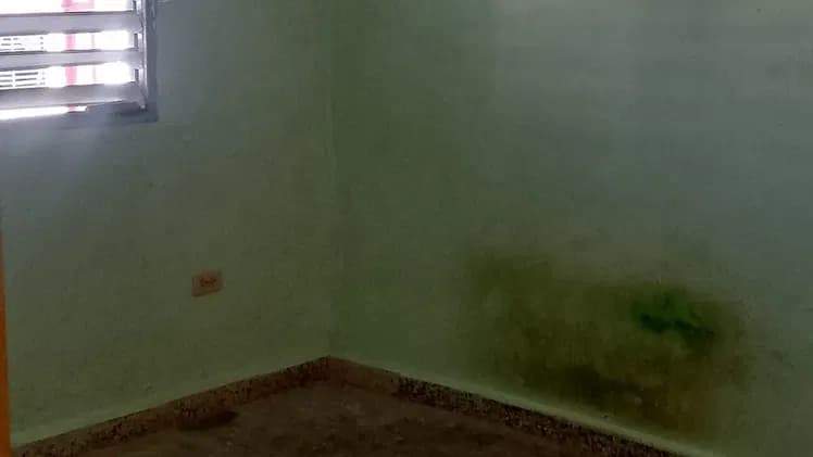 Vivienda de 2 habitaciones en San Agustín, La Lisa — foto 9 de 10