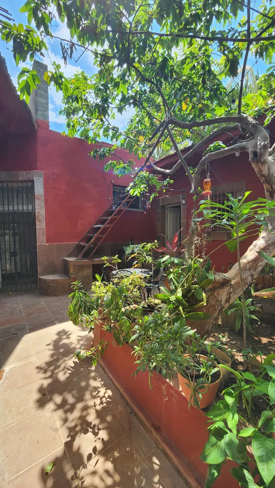 Vivienda de 7 habitaciones en Santos Suárez, Diez de Octubre — foto 4 de 12