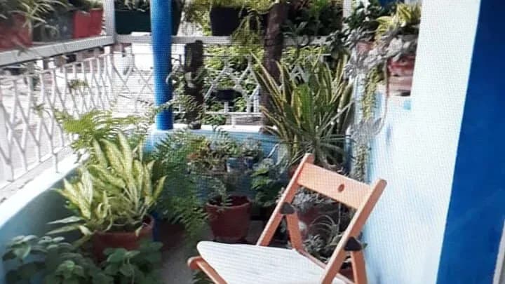 Vivienda de 2 habitaciones en Versalles, La Lisa — foto 4 de 10