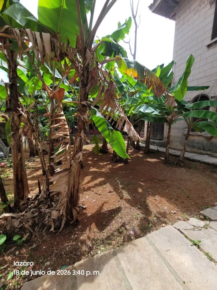 Vivienda de 5 habitaciones en Vedado, Plaza de la Revolución — foto 7 de 12