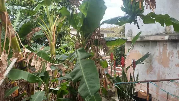 Vivienda de 4 habitaciones en Naranjo, Guanabacoa — foto 6 de 10