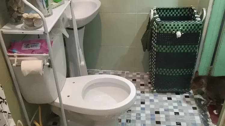 Vivienda de 2 habitaciones en Lawton, Diez de Octubre — foto 6 de 7