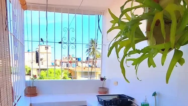 Vivienda de 2 habitaciones en Vedado, Plaza de la Revolución — foto 10 de 10