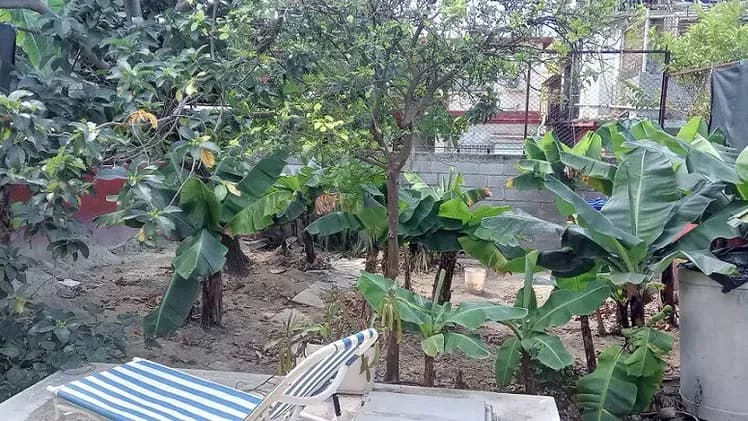 Vivienda de 2 habitaciones en Santos Suárez, Diez de Octubre — foto 10 de 10