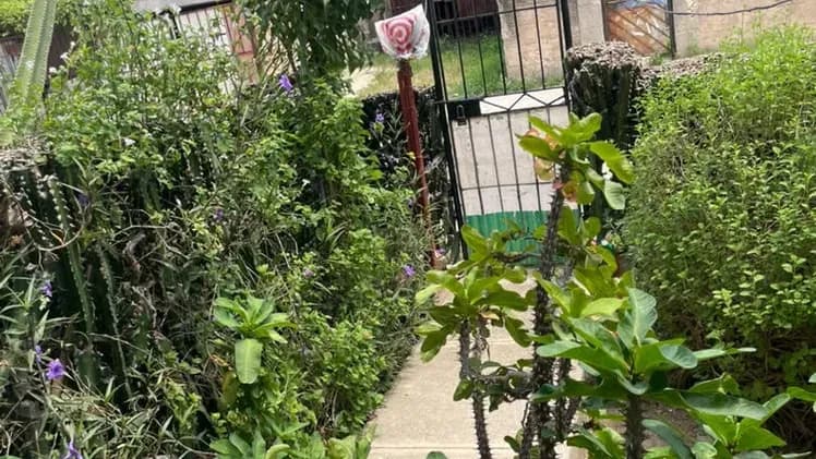 Vivienda de 2 habitaciones en Alamar, La Habana del Este — foto 8 de 10