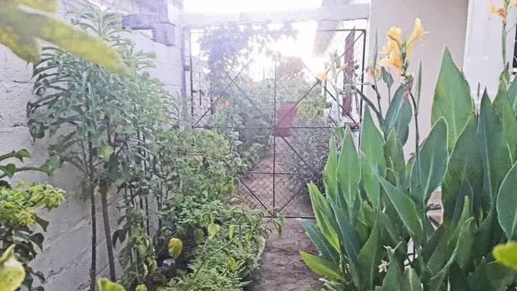 Vivienda de 2 habitaciones en Rivas Fraga, Ciego de Ávila — foto 9 de 10