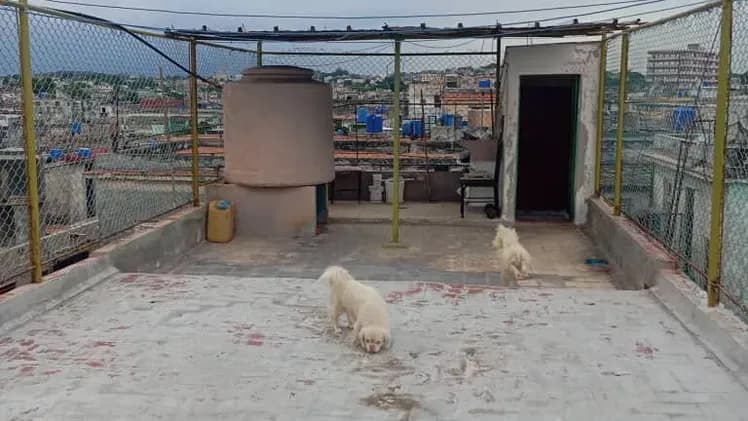 Vivienda de 1 habitaciones en Santos Suárez, Diez de Octubre — foto 9 de 10