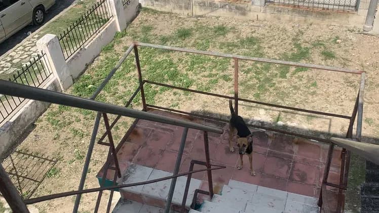 Vivienda de 4 habitaciones en Santos Suárez, Diez de Octubre — foto 7 de 10