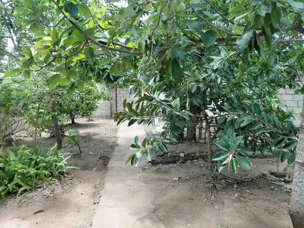 Vivienda de 2 habitaciones en Pitaluga, Holguín — foto 7 de 12