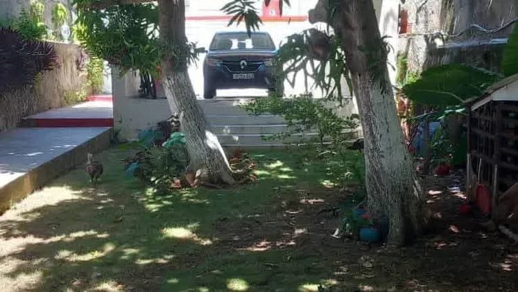 Vivienda de 7 habitaciones en Cojímar, La Habana del Este — foto 4 de 10