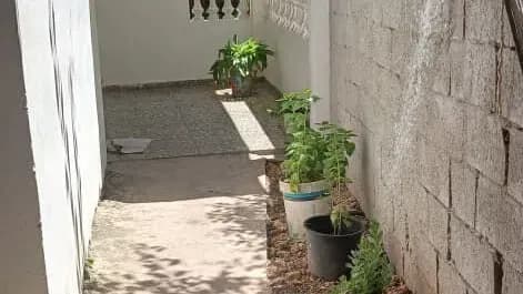 Vivienda de 3 habitaciones en Cubanacán, Playa — foto 4 de 7